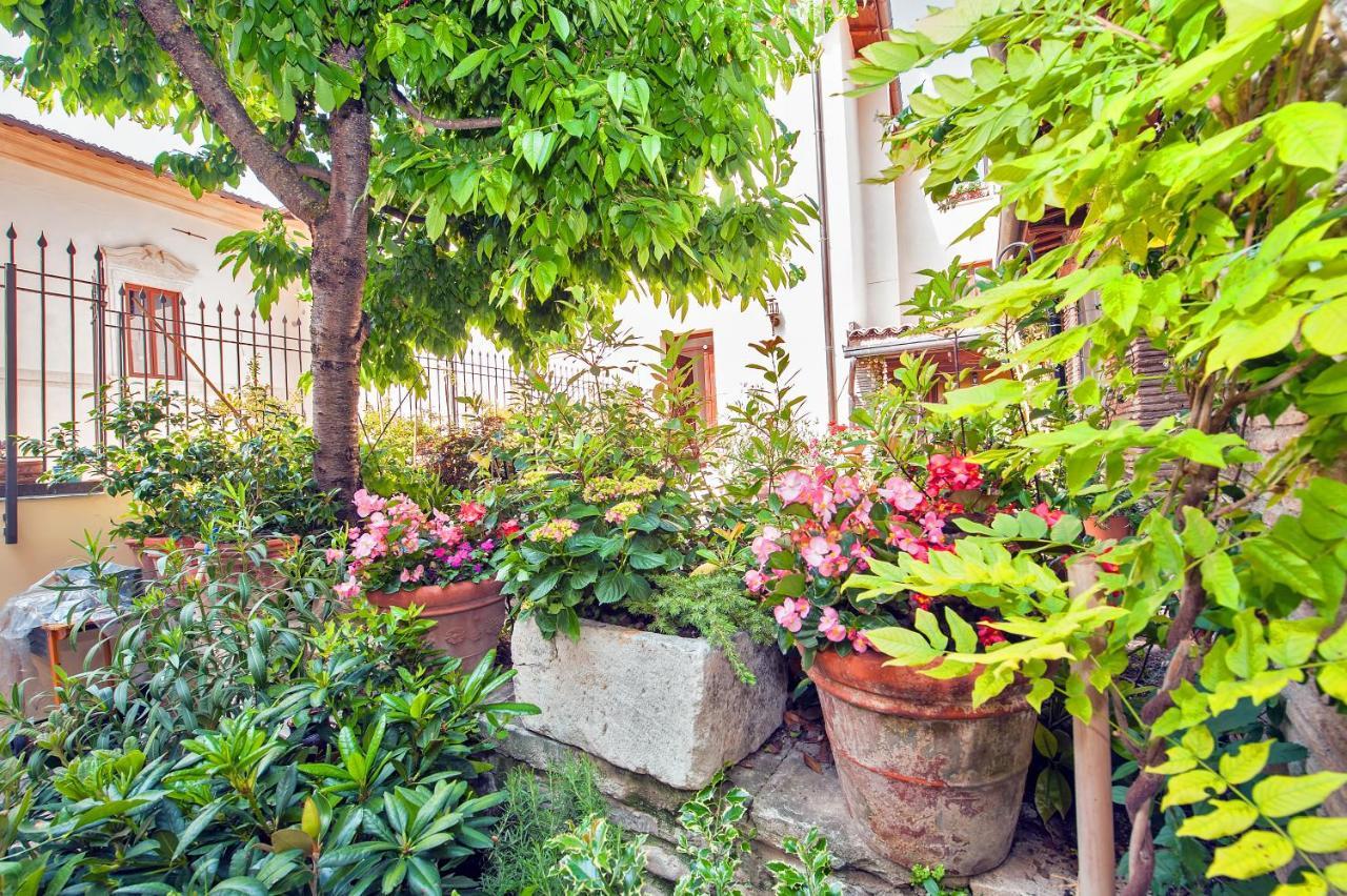 B&B Bone Novelle Dimora Storica Palazzo Zuzi LʼAquila Exteriér fotografie